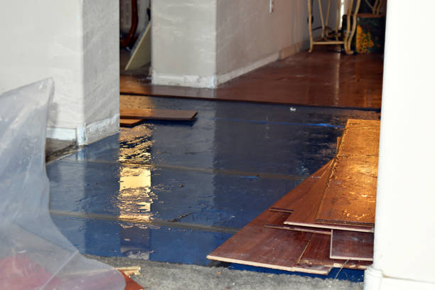 Professional Basement Flood Cleanup technician working in Midway, GA